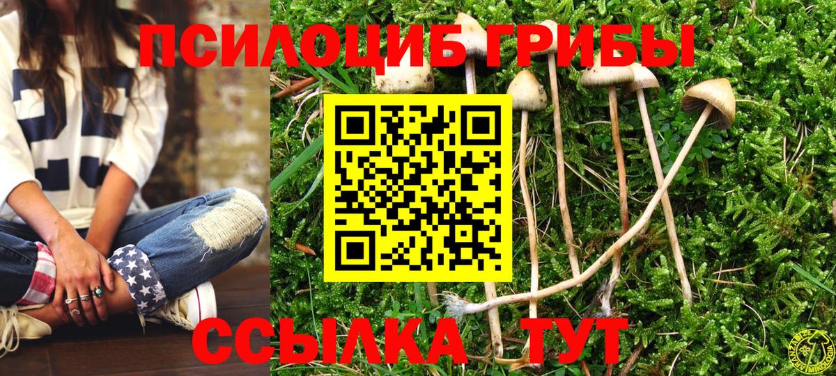 Псилоцибиновые грибы MAGIC MUSHROOMS Лабинск