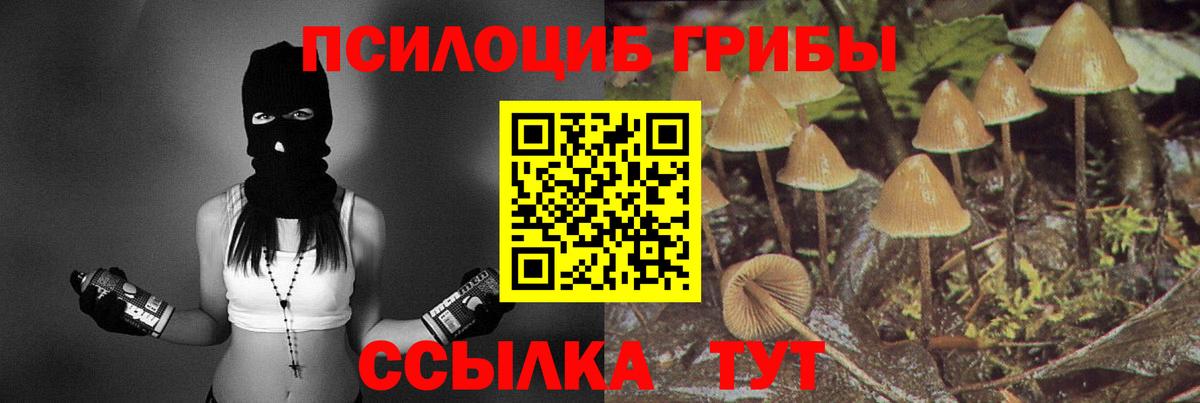 Лабинск  Псилоцибиновые грибы ЛСД  Вход с VPN  Псилоцибиновые грибы Cubensis 